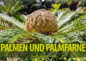 Palmen und Palmfarne (Wandkalender 2021 DIN A2 quer) von Wagner,  Hanna