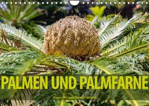 Palmen und Palmfarne (Wandkalender 2022 DIN A4 quer) von Wagner,  Hanna