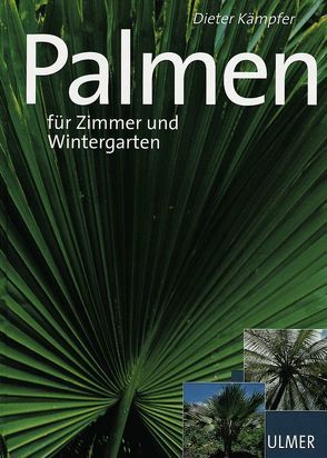 Palmen von Kämpfer,  Dieter