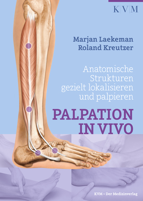 Palpation in Vivo von Junginger,  Bärbel, Kreutzer,  Roland, Laekeman,  Marjan