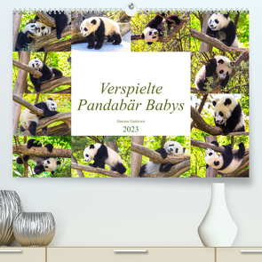 Pandabär Babys (Premium, hochwertiger DIN A2 Wandkalender 2023, Kunstdruck in Hochglanz) von Gatterwe,  Simone