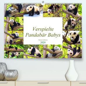 Pandabär Babys (Premium, hochwertiger DIN A2 Wandkalender 2020, Kunstdruck in Hochglanz) von Gatterwe,  Simone