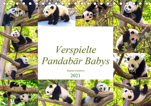 Pandabär Babys (Tischkalender 2021 DIN A5 quer) von Gatterwe,  Simone