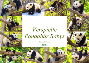 Pandabär Babys (Wandkalender 2021 DIN A2 quer) von Gatterwe,  Simone