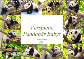 Pandabär Babys (Wandkalender 2021 DIN A4 quer) von Gatterwe,  Simone