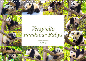 Pandabär Babys (Wandkalender 2023 DIN A4 quer) von Gatterwe,  Simone