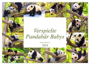 Pandabär Babys (Wandkalender 2024 DIN A2 quer), CALVENDO Monatskalender von Gatterwe,  Simone