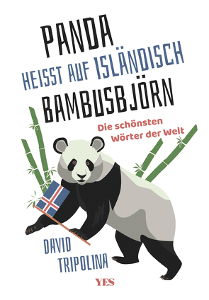 »Panda« heißt auf Isländisch »Bambusbjörn« von Tripolina,  David