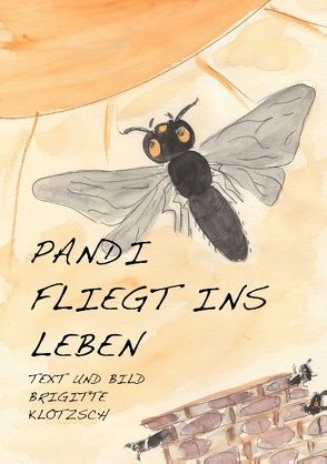 Pandi fliegt ins Leben von Klotzsch,  Brigitte