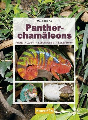 Pantherchamäleons von Au,  Manfred