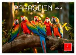 Papageien – Ara (Wandkalender 2024 DIN A2 quer), CALVENDO Monatskalender von Roder,  Peter