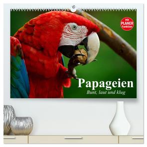 Papageien. Bunt, laut und klug (hochwertiger Premium Wandkalender 2024 DIN A2 quer), Kunstdruck in Hochglanz von Stanzer,  Elisabeth