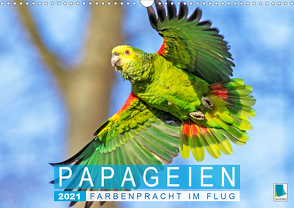 Papageien: Farbenpracht im Flug (Wandkalender 2021 DIN A3 quer) von CALVENDO