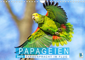 Papageien: Farbenpracht im Flug (Wandkalender 2022 DIN A4 quer) von CALVENDO