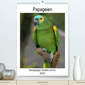 Papageien – Graupapagei, Rosella und Co. (Premium, hochwertiger DIN A2 Wandkalender 2023, Kunstdruck in Hochglanz) von Lindert-Rottke,  Antje