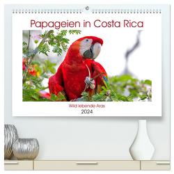 Papageien in Costa Rica (hochwertiger Premium Wandkalender 2024 DIN A2 quer), Kunstdruck in Hochglanz von Akrema-Photography,  Akrema-Photography