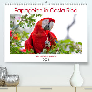 Papageien in Costa Rica (Premium, hochwertiger DIN A2 Wandkalender 2021, Kunstdruck in Hochglanz) von Akrema-Photography