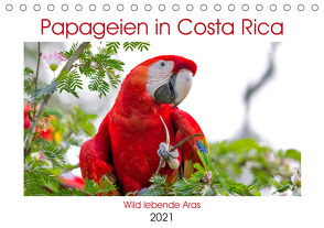 Papageien in Costa Rica (Tischkalender 2021 DIN A5 quer) von Akrema-Photography