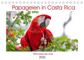 Papageien in Costa Rica (Tischkalender 2022 DIN A5 quer) von Akrema-Photography