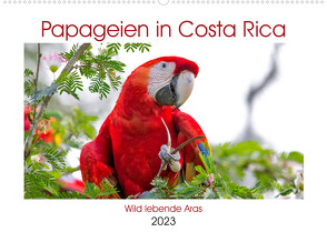 Papageien in Costa Rica (Wandkalender 2023 DIN A2 quer) von Akrema-Photography