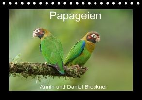 Papageien (Tischkalender 2018 DIN A5 quer) von und Daniel Brockner,  Armin