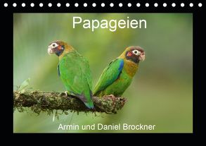 Papageien (Tischkalender 2020 DIN A5 quer) von und Daniel Brockner,  Armin