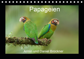 Papageien (Tischkalender 2021 DIN A5 quer) von und Daniel Brockner,  Armin