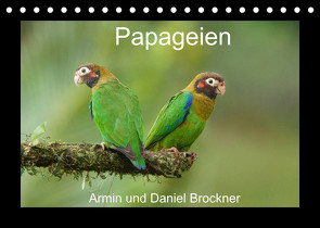 Papageien (Tischkalender 2022 DIN A5 quer) von und Daniel Brockner,  Armin