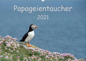 Papageientaucher 2021CH-Version (Wandkalender 2021 DIN A2 quer) von Leimer,  Stefan