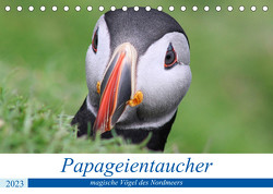 Papageientaucher 2022 – Magische Vögel des Nordmeers (Tischkalender 2023 DIN A5 quer) von been.there.recently