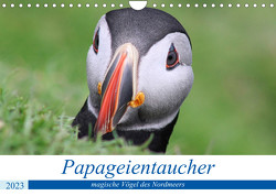 Papageientaucher 2022 – Magische Vögel des Nordmeers (Wandkalender 2023 DIN A4 quer) von been.there.recently