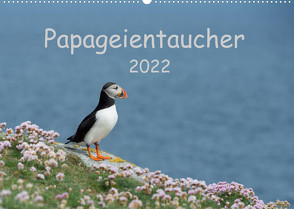 Papageientaucher 2022CH-Version (Wandkalender 2022 DIN A2 quer) von Leimer,  Stefan