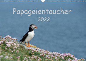 Papageientaucher 2022CH-Version (Wandkalender 2022 DIN A3 quer) von Leimer,  Stefan