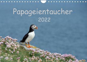 Papageientaucher 2022CH-Version (Wandkalender 2022 DIN A4 quer) von Leimer,  Stefan