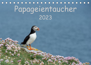 Papageientaucher 2023CH-Version (Tischkalender 2023 DIN A5 quer) von Leimer,  Stefan