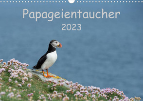 Papageientaucher 2023CH-Version (Wandkalender 2023 DIN A3 quer) von Leimer,  Stefan