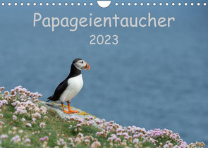 Papageientaucher 2023CH-Version (Wandkalender 2023 DIN A4 quer) von Leimer,  Stefan