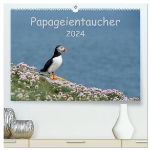 Papageientaucher 2024 (hochwertiger Premium Wandkalender 2024 DIN A2 quer), Kunstdruck in Hochglanz von Leimer,  Stefan