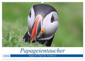 Papageientaucher 2024 – Magische Vögel des Nordmeers (Wandkalender 2024 DIN A2 quer), CALVENDO Monatskalender von been.there.recently,  been.there.recently