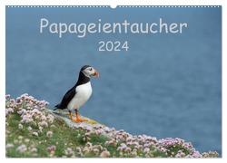 Papageientaucher 2024 (Wandkalender 2024 DIN A2 quer), CALVENDO Monatskalender von Leimer,  Stefan