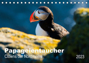 PAPAGEIENTAUCHER – Clowns der Nordmeere (Tischkalender 2023 DIN A5 quer) von Wagner,  Nicole