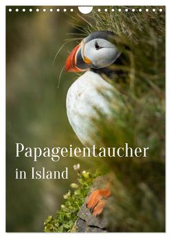 Papageientaucher in Island (Wandkalender 2024 DIN A4 hoch), CALVENDO Monatskalender von Inxtagenumdiewelt,  Inxtagenumdiewelt