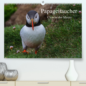 Papageitaucher Clowns der Meere (Premium, hochwertiger DIN A2 Wandkalender 2023, Kunstdruck in Hochglanz) von Uppena,  Leon