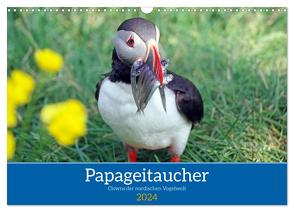 Papageitaucher – Clowns der nordischen Vogelwelt (Wandkalender 2024 DIN A3 quer), CALVENDO Monatskalender von Pantke,  Reinhard