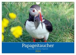 Papageitaucher – Clowns der nordischen Vogelwelt (Wandkalender 2024 DIN A4 quer), CALVENDO Monatskalender von Pantke,  Reinhard