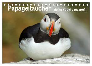 Papageitaucher – kleine Vögel ganz groß! (Tischkalender 2024 DIN A5 quer), CALVENDO Monatskalender von Paul - Babett's Bildergalerie,  Babett