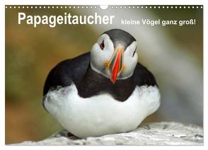 Papageitaucher – kleine Vögel ganz groß! (Wandkalender 2024 DIN A3 quer), CALVENDO Monatskalender von Paul - Babett's Bildergalerie,  Babett