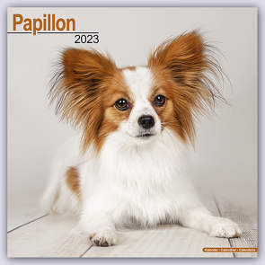 Papillon 2023 – 16-Monatskalender