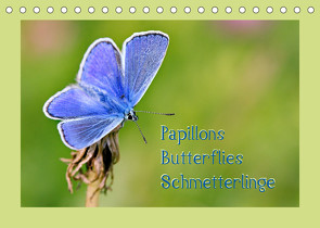 Papillons-Butterflies-Schmetterlinge (Tischkalender 2022 DIN A5 quer) von Berger (Kabefa),  Karin