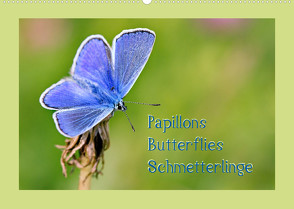 Papillons-Butterflies-Schmetterlinge (Wandkalender 2022 DIN A2 quer) von Berger (Kabefa),  Karin